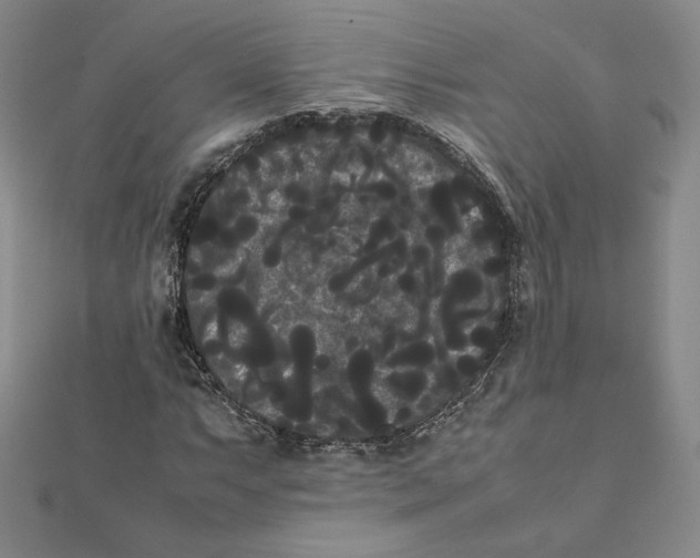 X0000112071063200908251038
