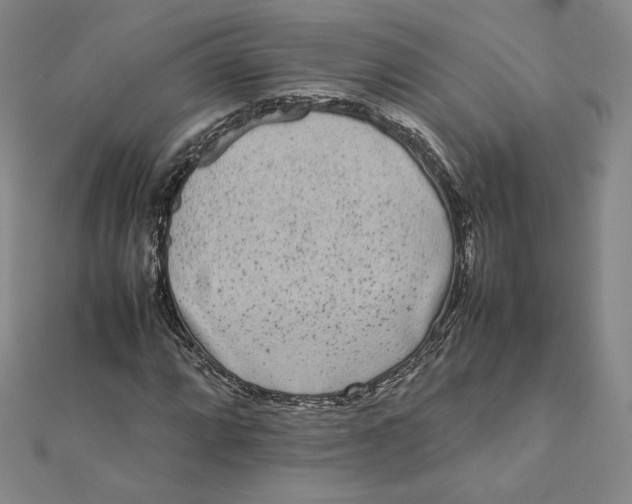 X0000112071064200908251037