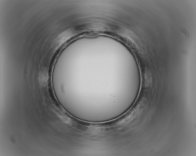 X0000112071065200908251037