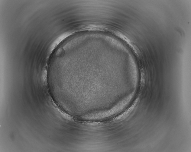 X0000112071066200908251037