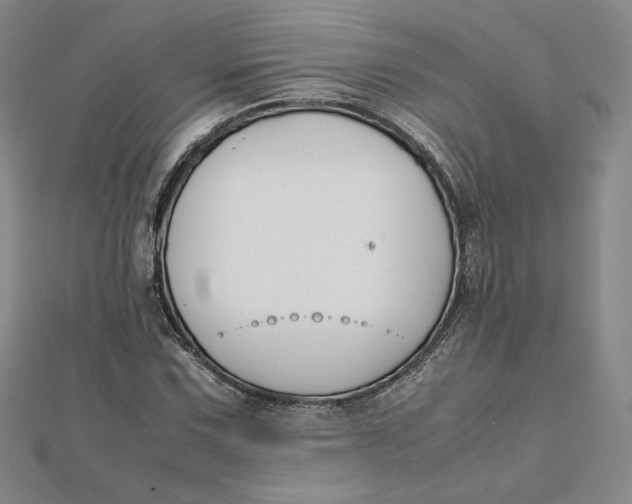 X0000112071067200908251037