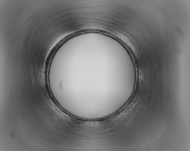 X0000112071068200908251037