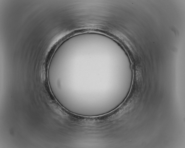 X0000112071069200908251037