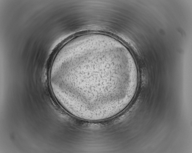 X0000112071070200908251037