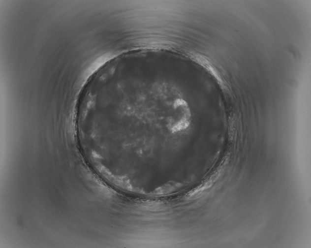 X0000112071071200908251037