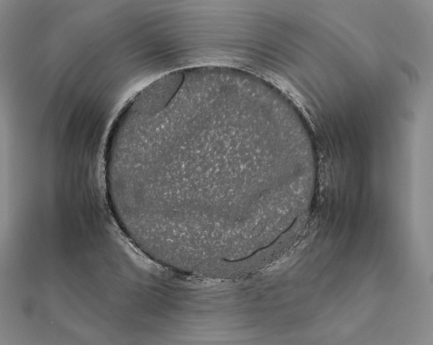 X0000112071072200908251037