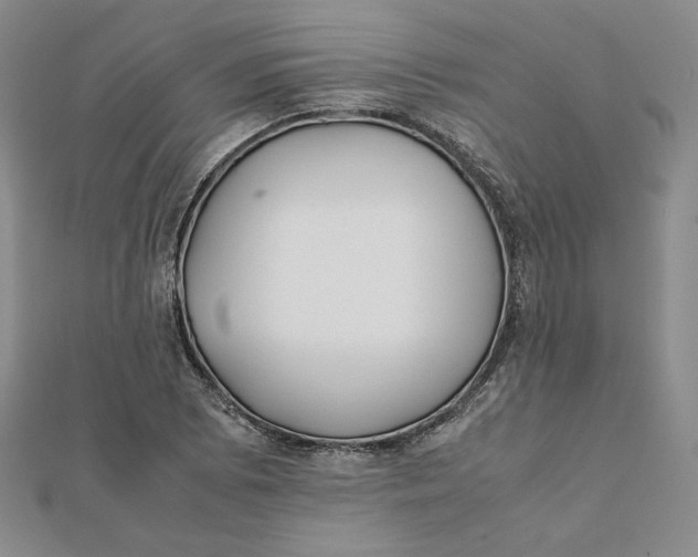 X0000112071073200908251037