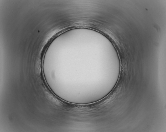 X0000112071075200908251037