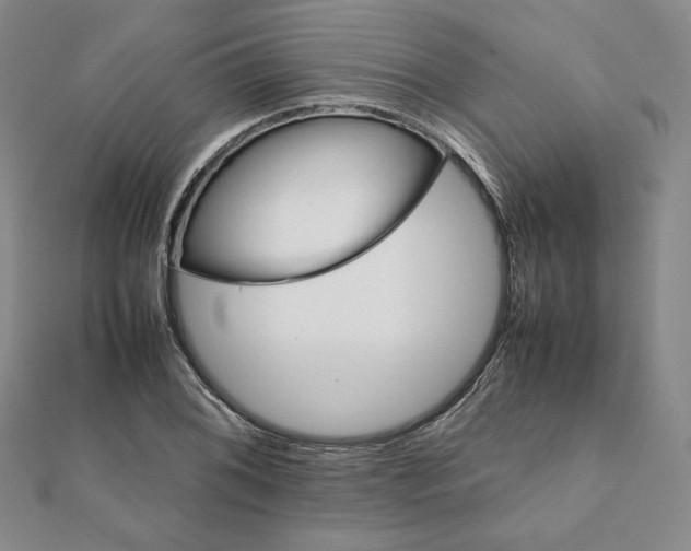 X0000112071076200908251037