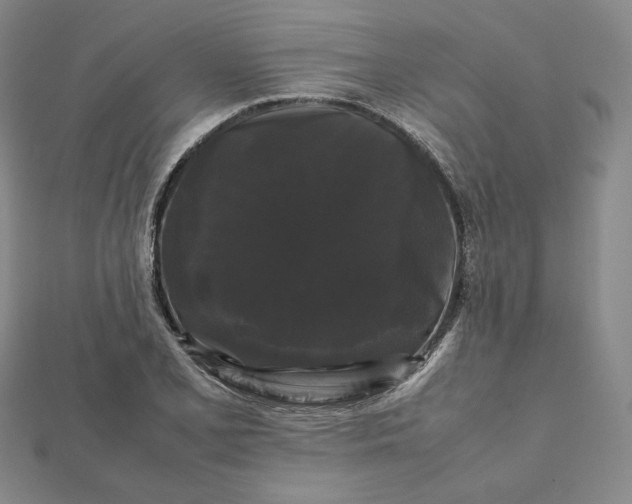 X0000112071077200908251037