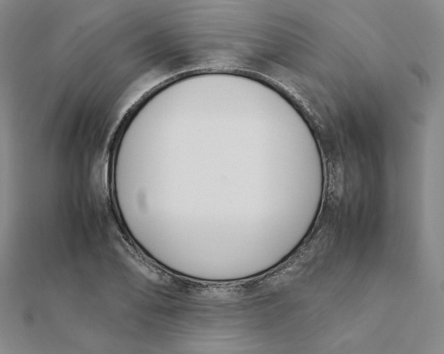 X0000112071078200908251037