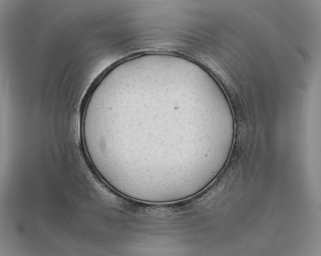 X0000112071079200908251037