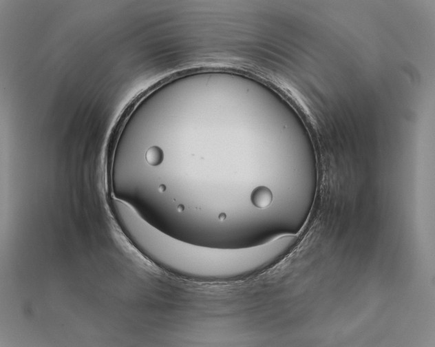 X0000112071080200908251037