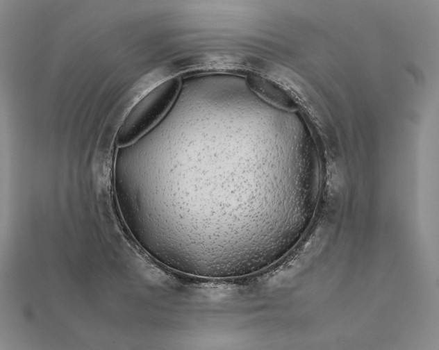 X0000112071081200908251037