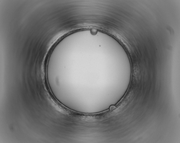 X0000112071082200908251037