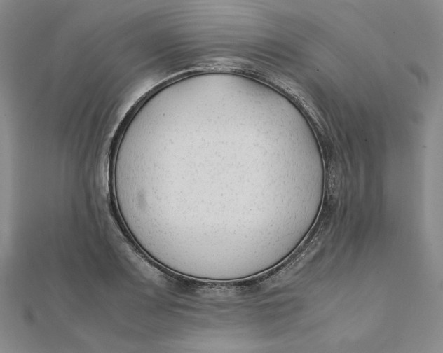 X0000112071083200908251037