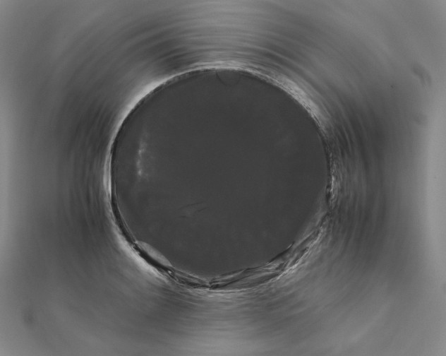 X0000112071084200908251037