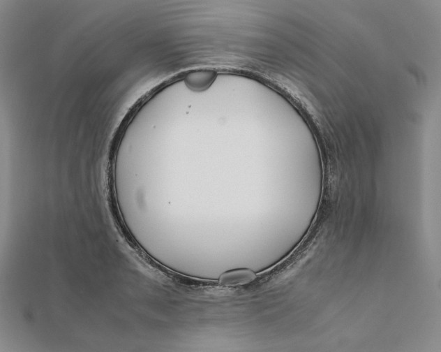 X0000112071085200908251037