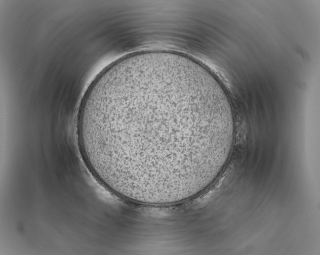 X0000112071086200908251037