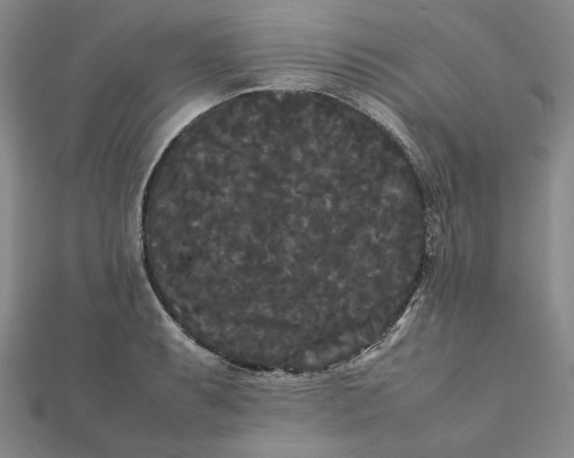 X0000112071087200908251037