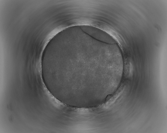 X0000112071088200908251037