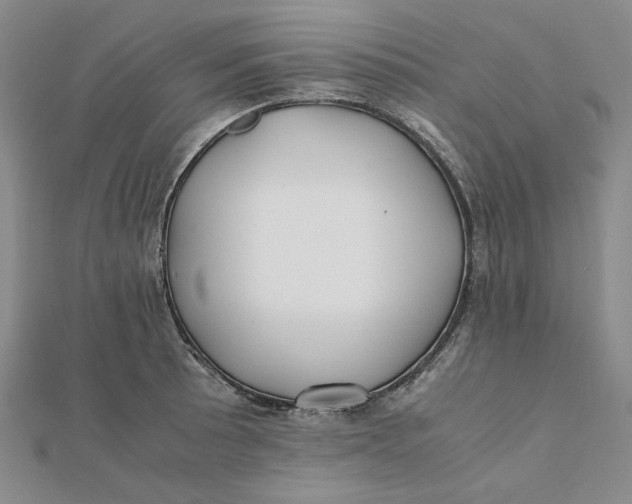 X0000112071089200908251037