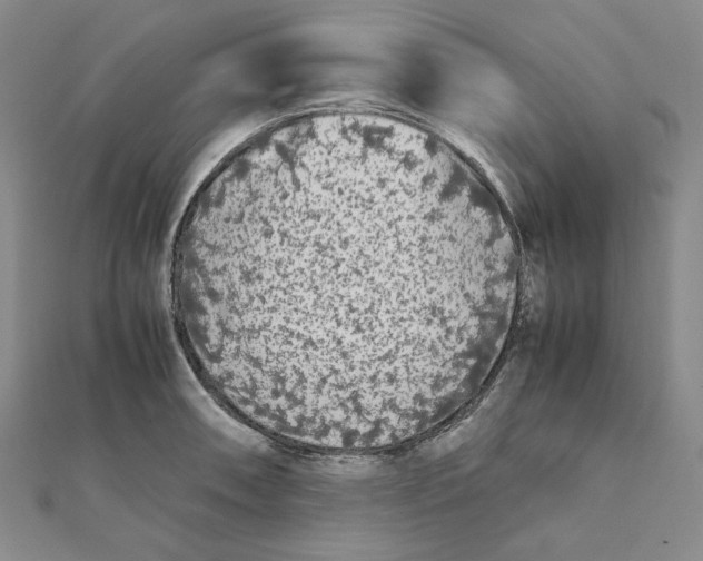 X0000112071090200908251037