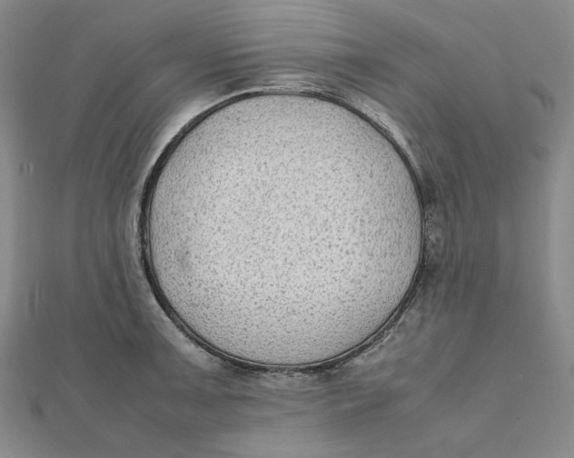 X0000112071091200908251037