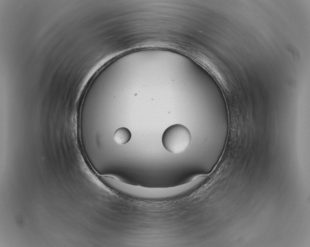 X0000112071092200908251037