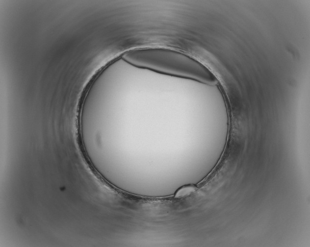X0000112071093200908251037