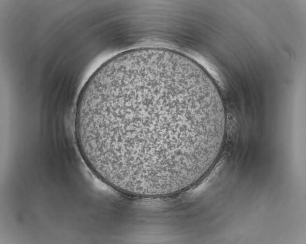 X0000112071094200908251037