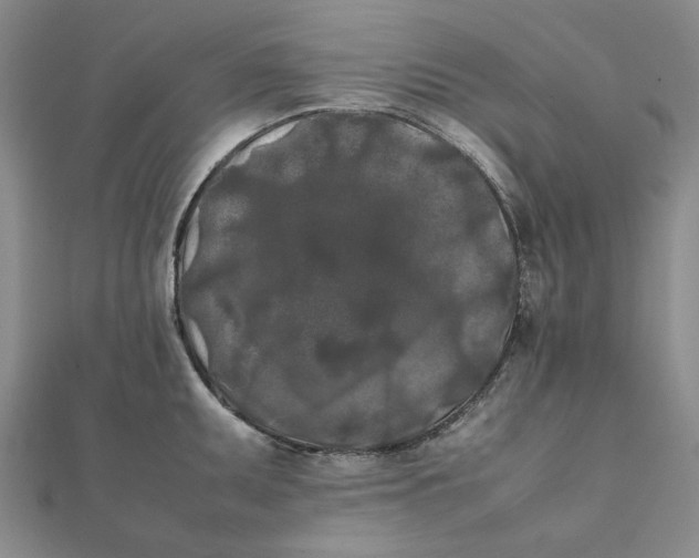 X0000112071095200908251037