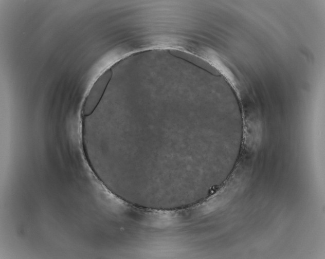 X0000112071096200908251037