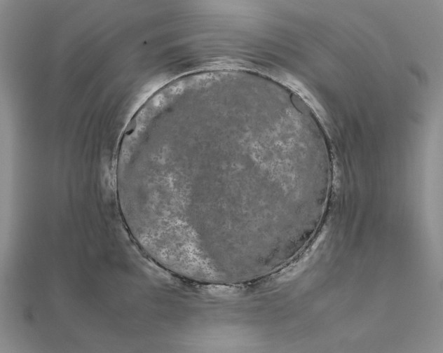 X0000112071097200908251037