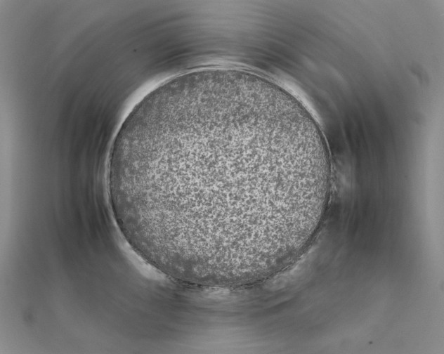 X0000112071098200908251037