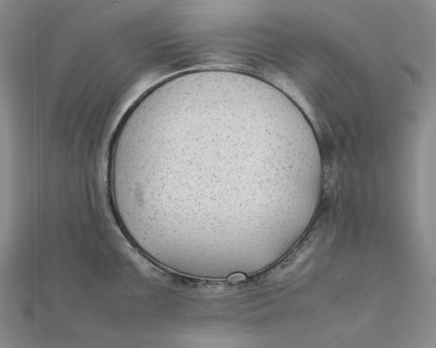 X0000112071099200908251037