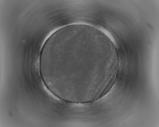 X0000112071100200908251037