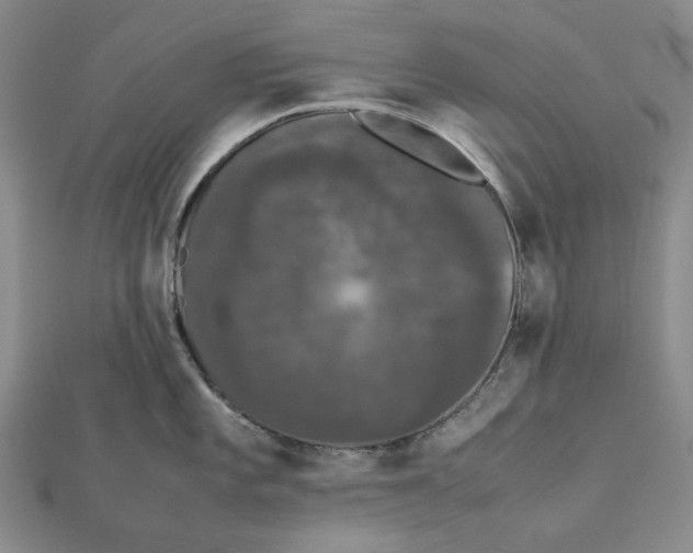 X0000112071101200908251037