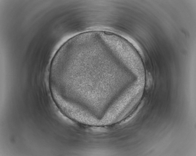 X0000112071102200908251037