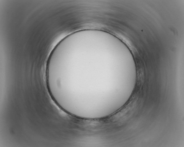 X0000112071103200908251037