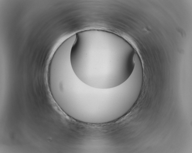 X0000112071104200908251037