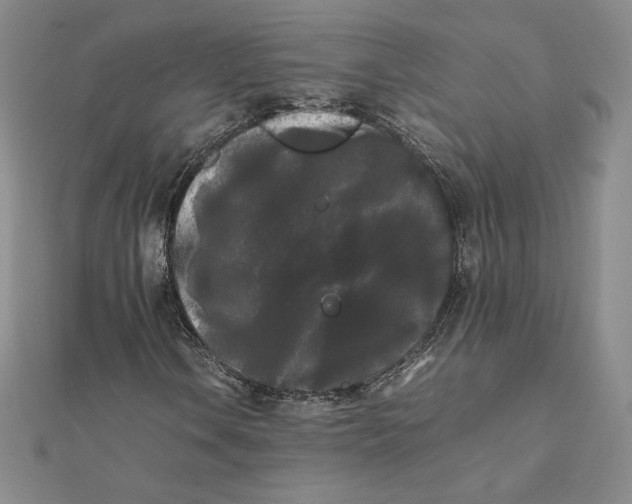 X0000112071106200908251036