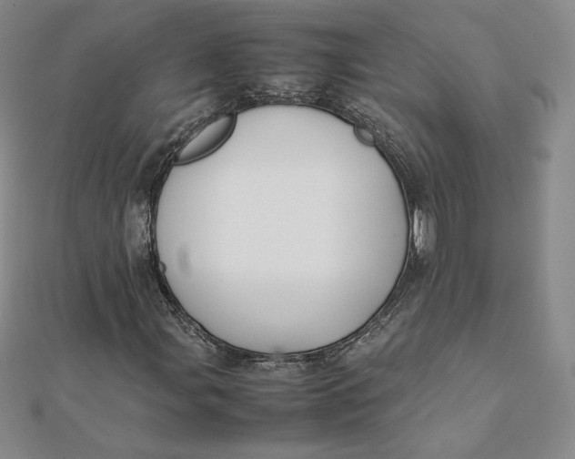 X0000112071107200908251036