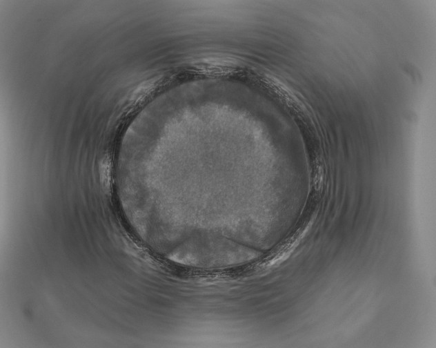 X0000112071108200908251036