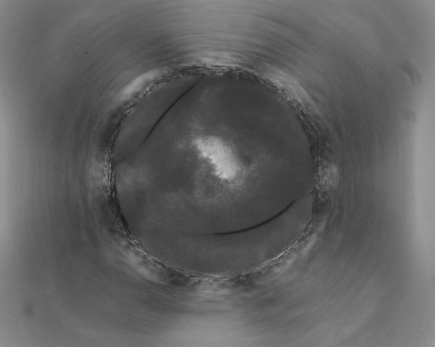 X0000112071110200908251036