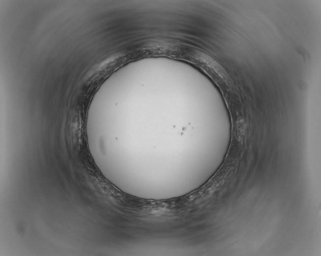 X0000112071111200908251036