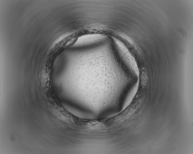 X0000112071112200908251036