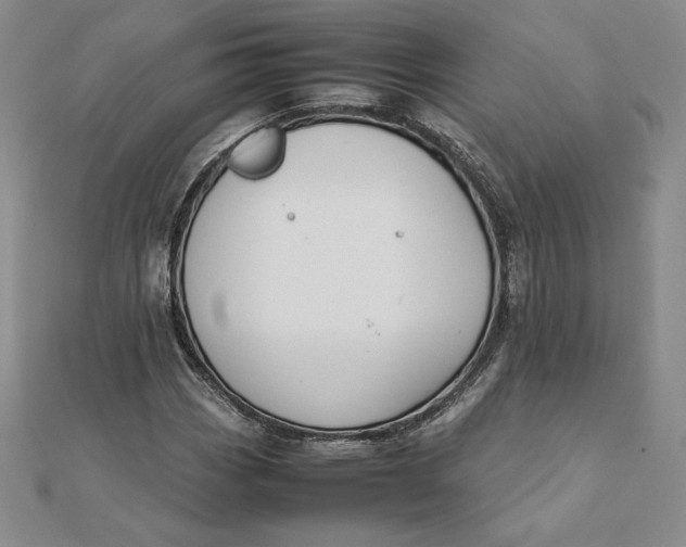 X0000112071113200908251036