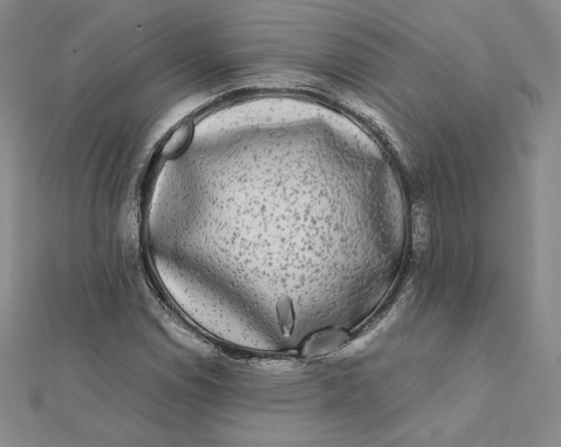 X0000112071114200908251036