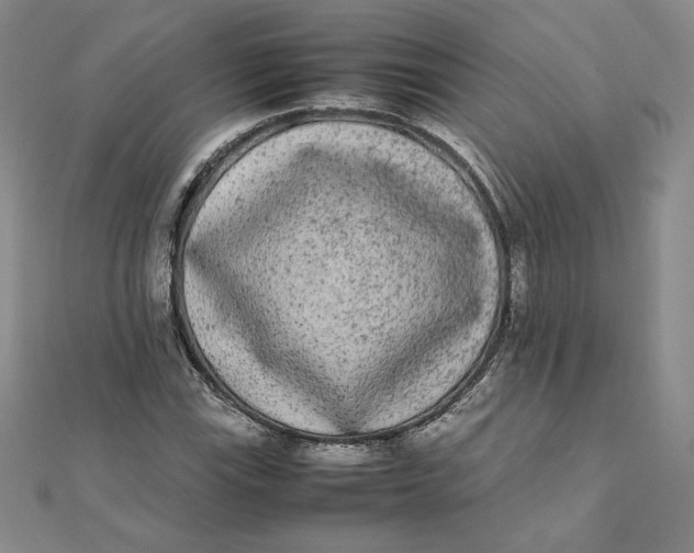 X0000112071115200908251036